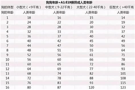 属狗的今年几岁|属狗的年份表及年龄 属狗的年份及年龄对照